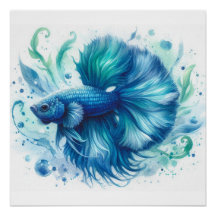 Blue Betta Fish no 1 Glossy Poster