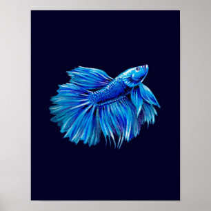 Poster Blue Betta Fish on Navy  Aquarium Lover