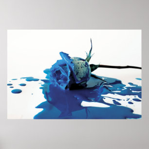 Pôster Blue Bleeding Rose