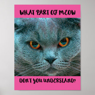Poster Blue British Shorthair Cat engraçado e humorístico