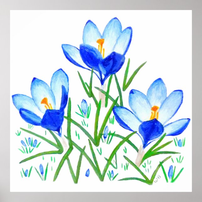 Poster Blue Crocus Flowers Print (Frente)