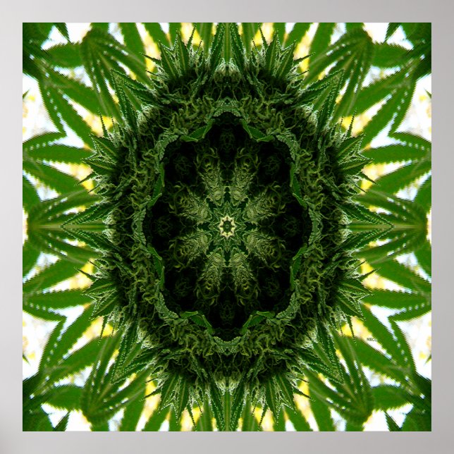 Poster Blue Dream Mandala... (Frente)