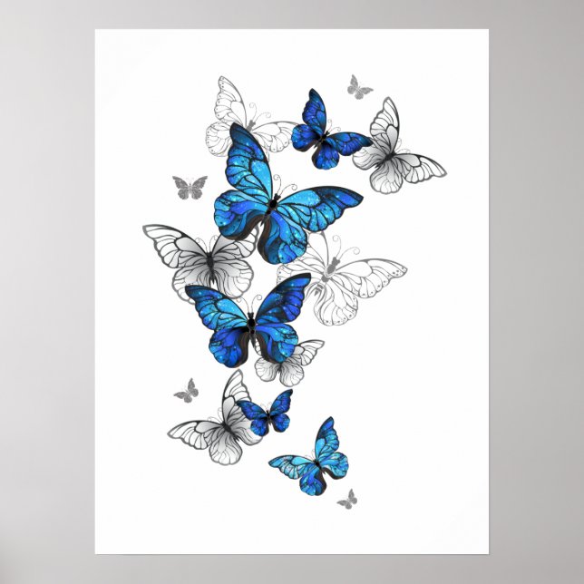 Poster Blue Flying Butterflies Morpho (Frente)