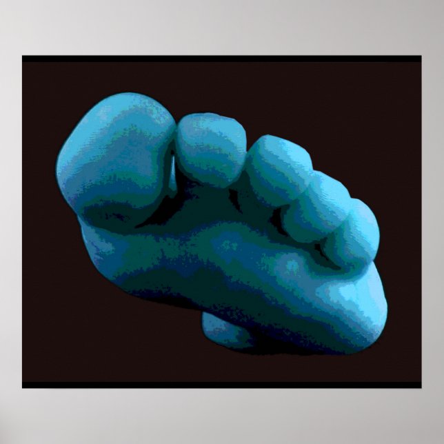 Poster Blue Foot, 2005 Photoshop Art. (Frente)