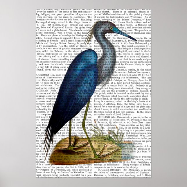 Poster Blue Heron (Frente)