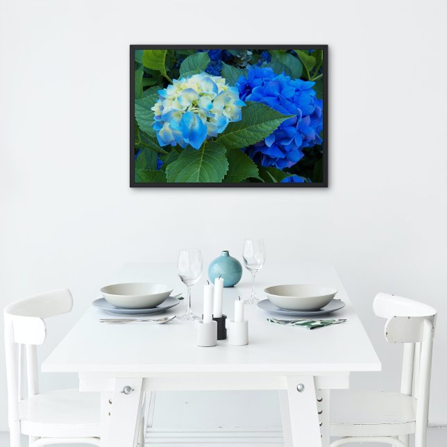 Pôster Blue Hydrangea Blooms Floral Glossy (In Situ)