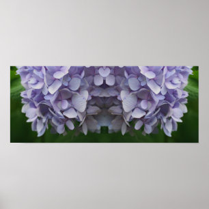 Poster Blue Hydrangea Petals Abstrato Mirror