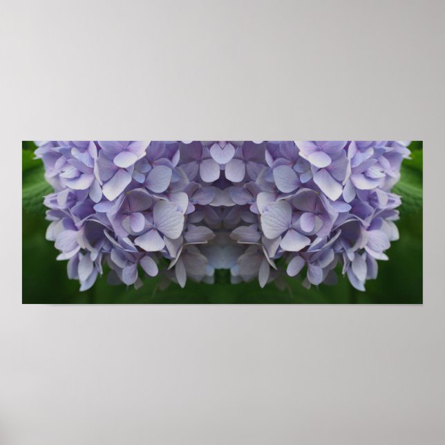 Poster Blue Hydrangea Petals Abstrato Mirror (Frente)