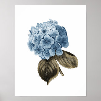 Poster Blue Hydrangea Trabalho de arte nº 1 Arte de Pared