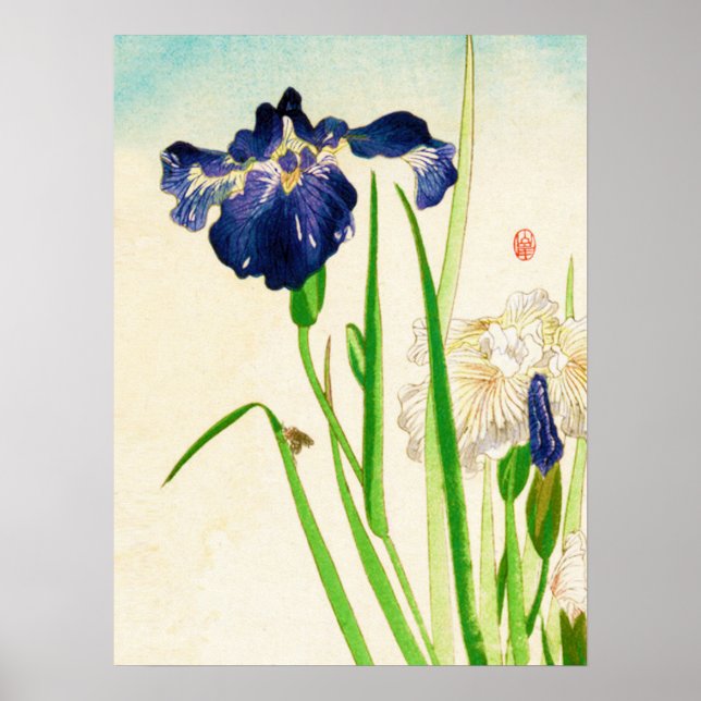 Poster Blue Iris Japan Watercolor (Frente)