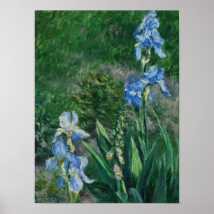 Poster Blue Irises, Jardim do Petit Gennevilliers, 1892