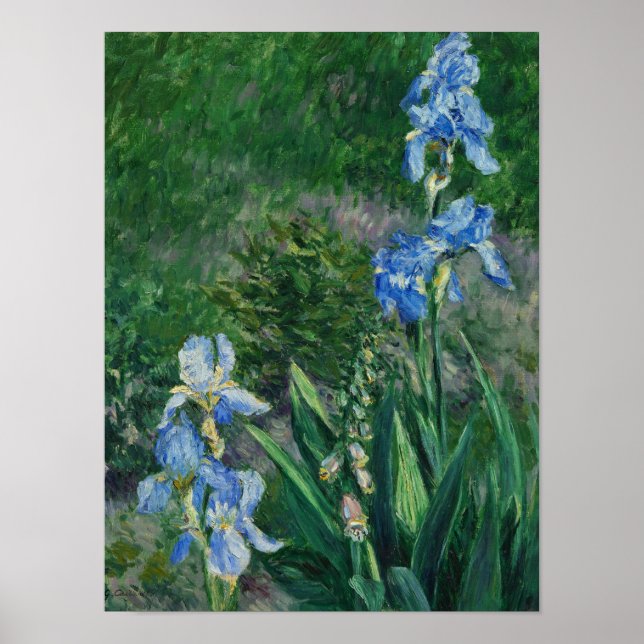 Poster Blue Irises, Jardim do Petit Gennevilliers, 1892 (Frente)