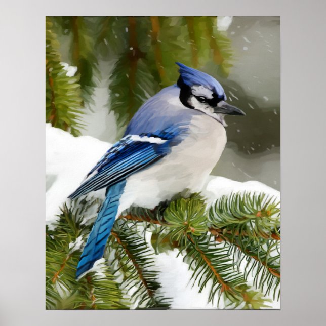 Poster Blue Jay (Frente)