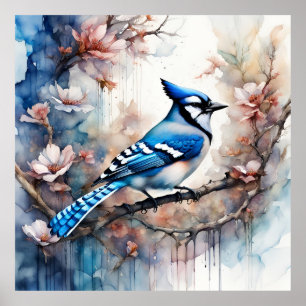 Poster Blue Jay Cherry Blossoms aquarela