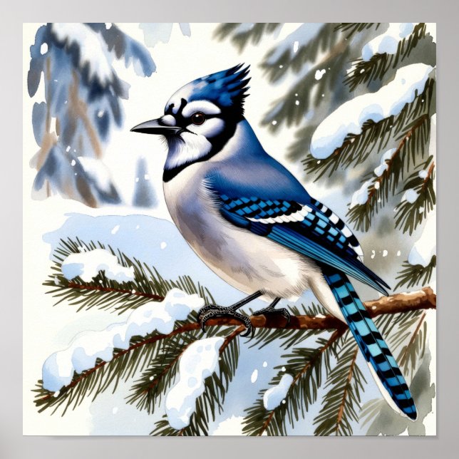 Poster Blue Jay in Snowy Pines Watercolor Winter Bird (Frente)