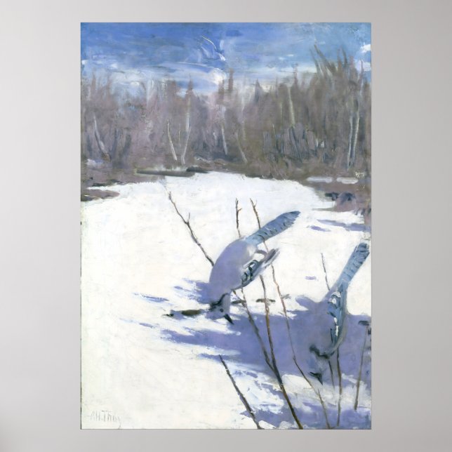 Poster Blue Jays in Winter by Abbott Handerson Thayer (Frente)