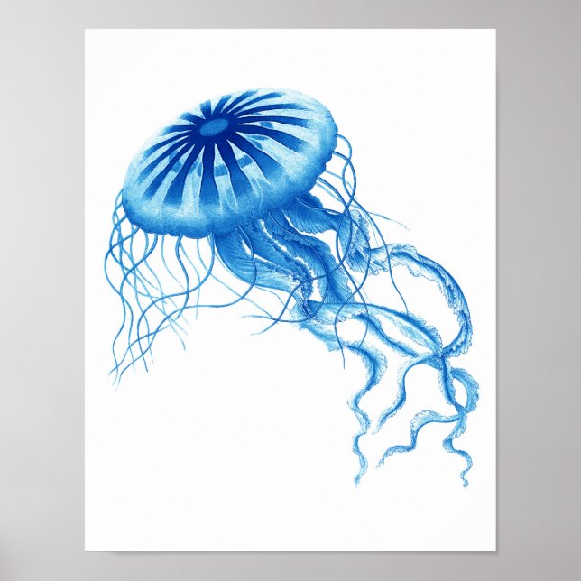 Poster Blue Jellyfish Vintage Art Print No.3 Beach Decor (Frente)