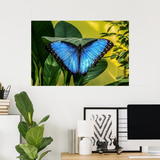 Poster Blue Morpho Butterfly Arte Floral (Escritório em casa)