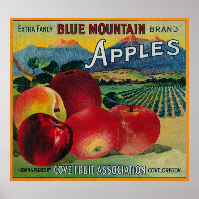 Pôster Blue Mountain Apple Crate LabelCove, OR (Frente)