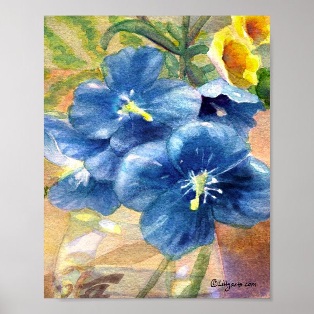 Pôster Blue Poppy Watercolor Fechar U (Frente)
