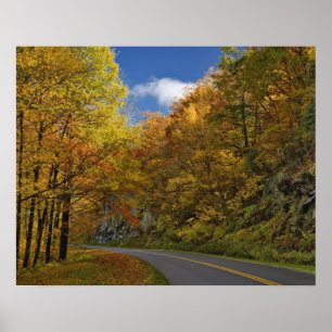 Poster Blue Ridge Parkway curvando através das cores de o