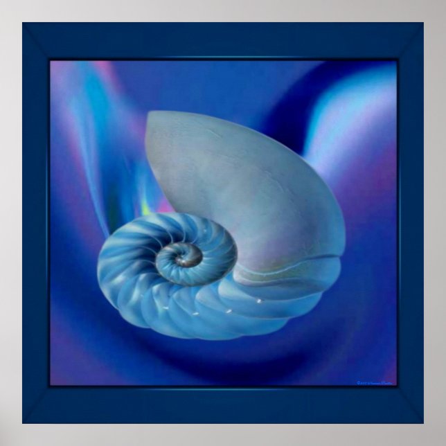 Poster Blue Seashell Print (Frente)