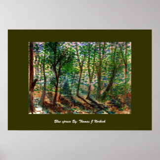 Pôster blue spruce, Blue spruce By: Thomas J Norbeck