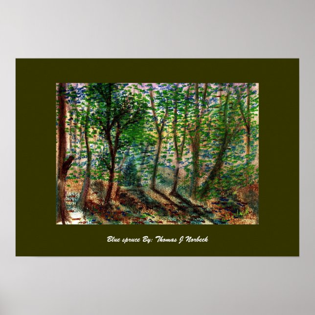 Pôster blue spruce, Blue spruce By: Thomas J Norbeck (Frente)