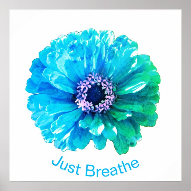 Poster Blue Teal Daisy | retro blue floral    (Frente)