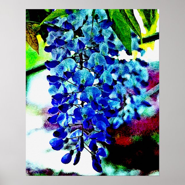 Pôster Blue Wisteria (Frente)