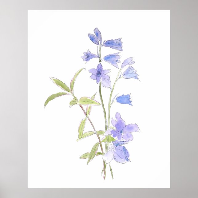 Poster bluebell e violet in e watercolor (Frente)