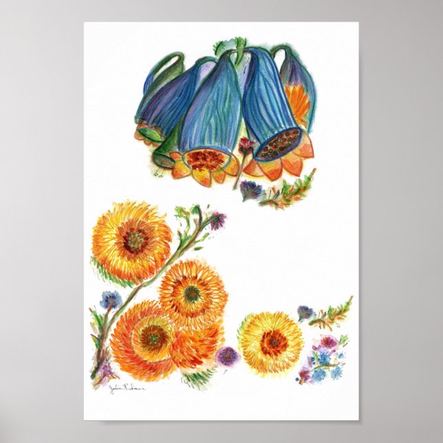 Poster Bluebells (Frente)