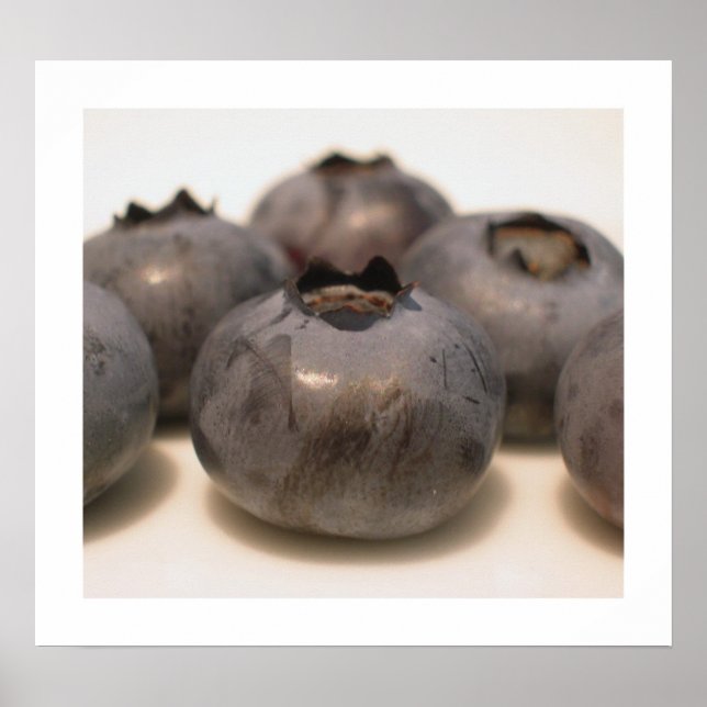 Poster Blueberries I have Known 18 (Frente)