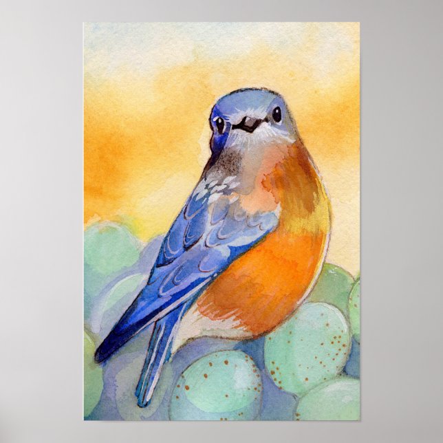 Poster Bluebird com Aquarela de Ovos (Frente)