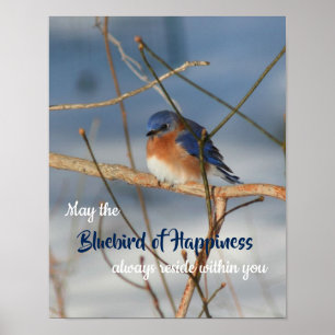 Poster Bluebird De Felicidade Inspiracional