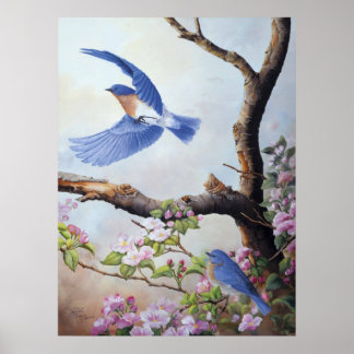 Poster "Bluebird" UV Canvas Printes
