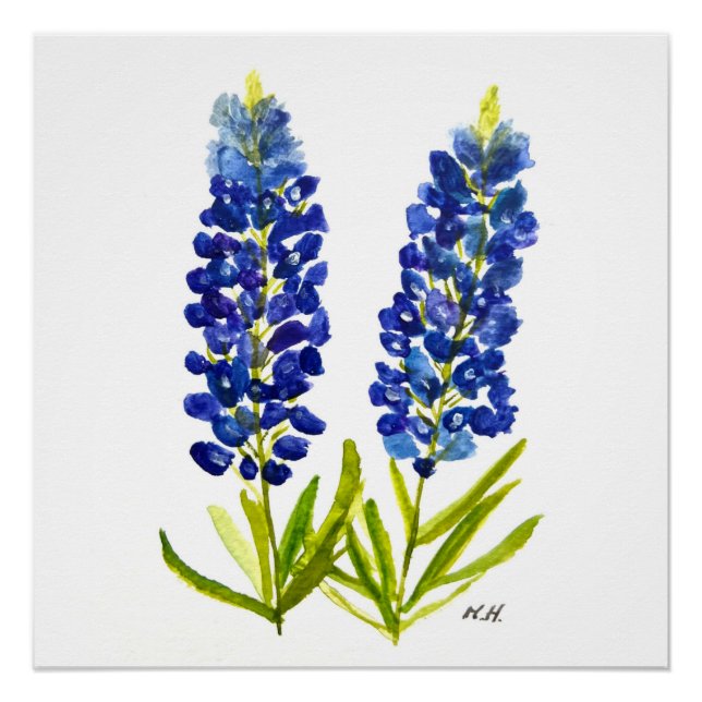 Pôster Bluebonnets Texas State Flowers Lupine Watercolor (Frente)