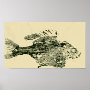 Pôster Bluegill