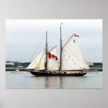Bluenose