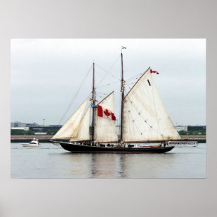 Poster Bluenose