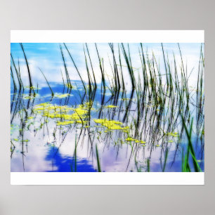 Poster Blues e Grass