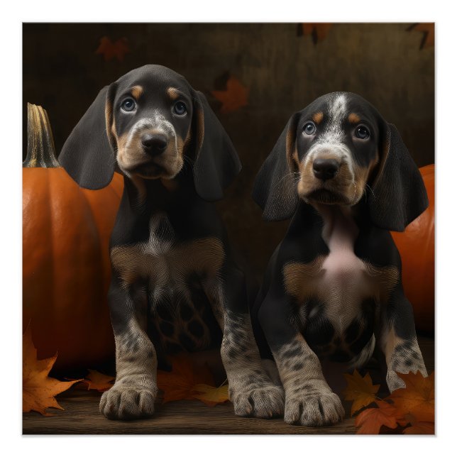 Pôster Bluetick Conhound Puppy Autumn - Pumpkin (Frente)