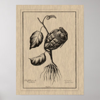 Pôster Blum de Explosivo