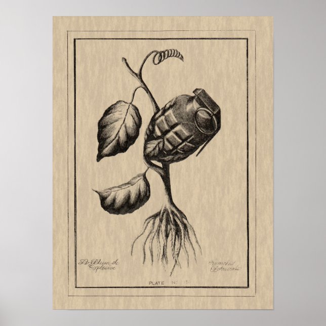 Pôster Blum de Explosivo (Frente)