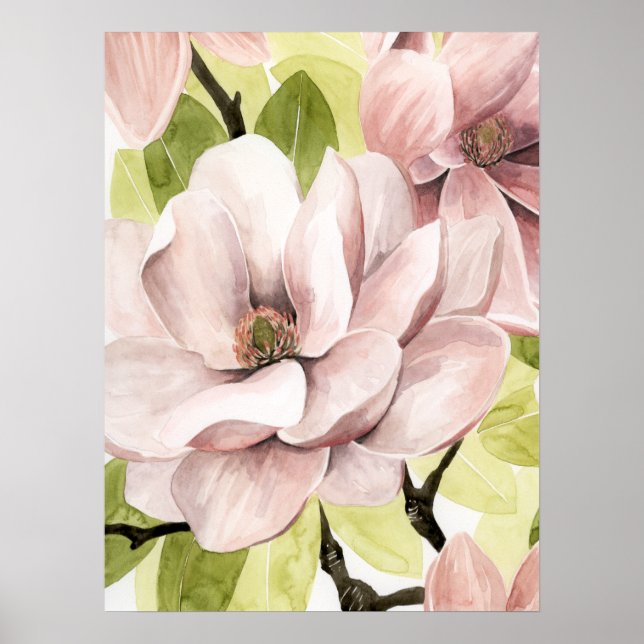 Poster Blush Magnolia Flowers (Frente)