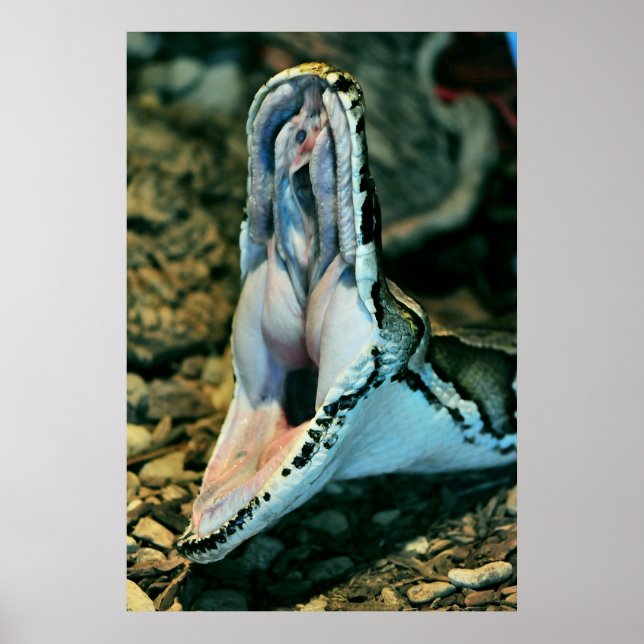 Pôster Boa (Frente)