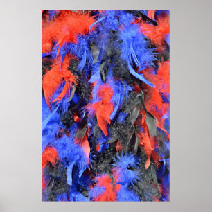 Poster Boa de penas nas cores vermelho, azul e preto
