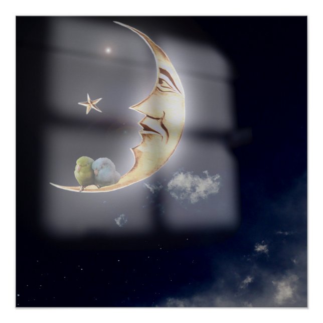 Pôster Boa noite e bons sonhos, Pacific Parrotlets Art (Frente)