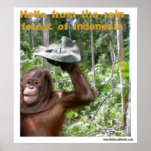 Pôster Boa vinda da floresta tropical do orangotango