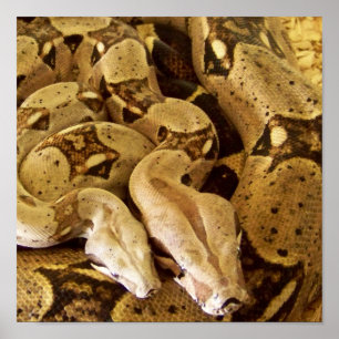 Pôster Boas atadas vermelho